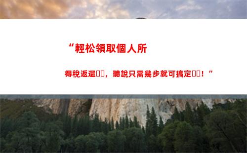 個人所得稅218(個人所得稅210是什么意思)